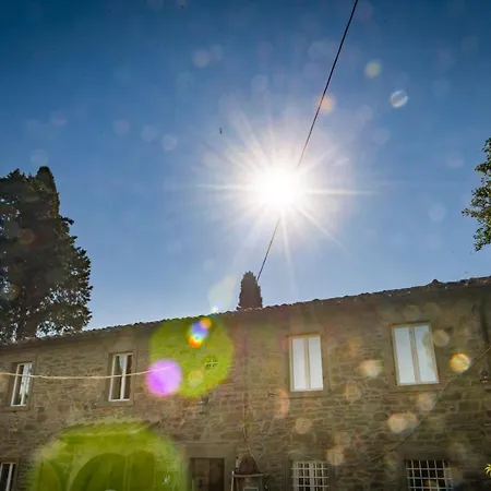 Fringuello - Mandorlo *