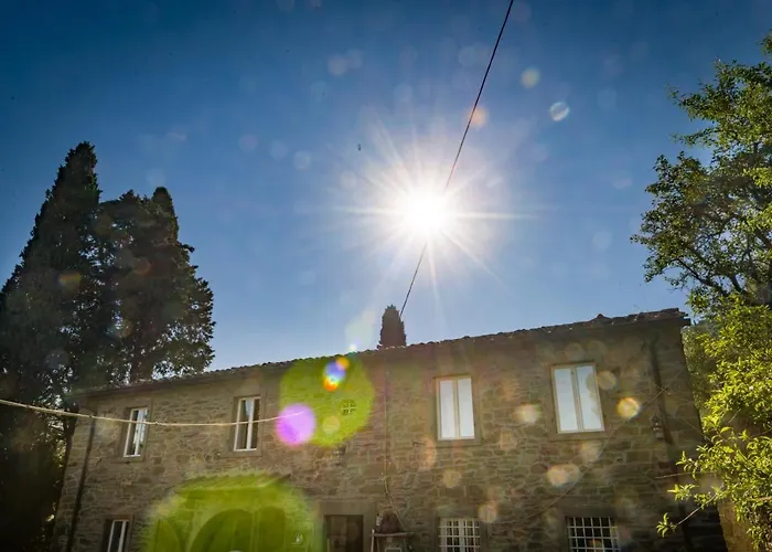 Fringuello - Mandorlo *