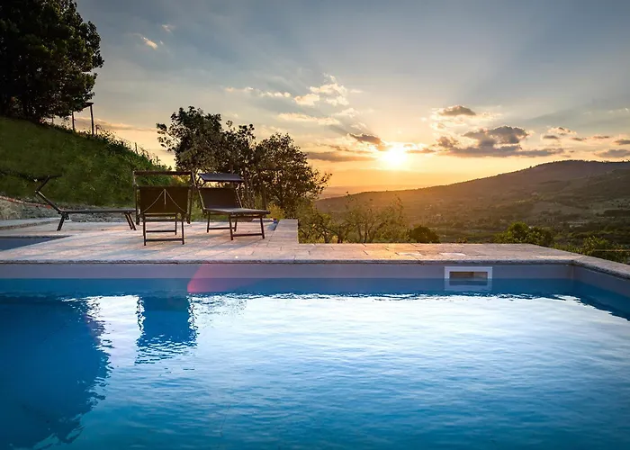 Fringuello - Mandorlo *