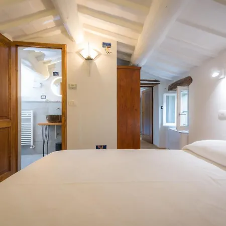 Fringuello - Mandorlo Tatil Evi Cortona