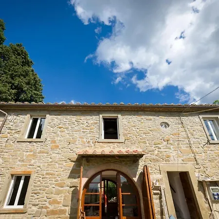 Fringuello - Mandorlo * Cortona