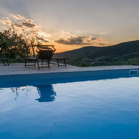 Fringuello - Mandorlo