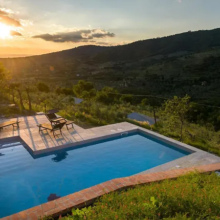 Fringuello - Mandorlo Cortona