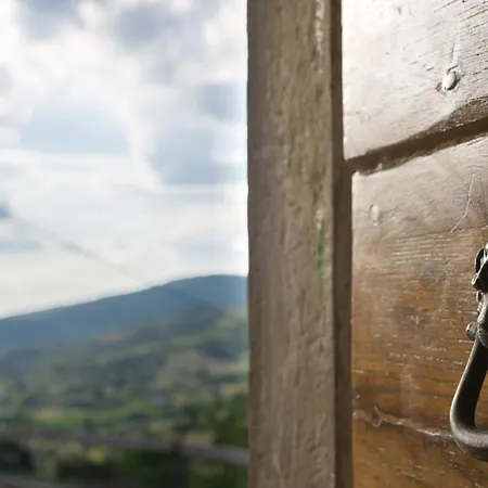 Fringuello - Mandorlo * Cortona