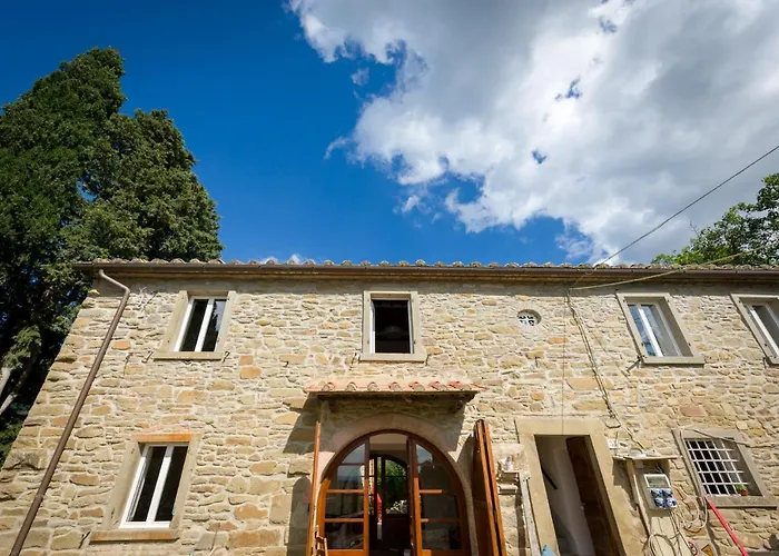 Fringuello - Mandorlo * Cortona