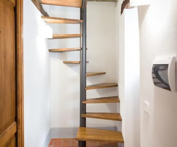 Fringuello - Mandorlo *