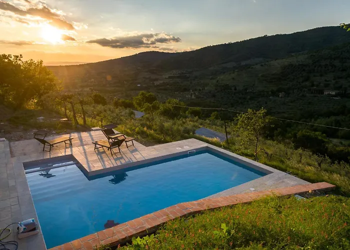 Fringuello - Mandorlo Cortona